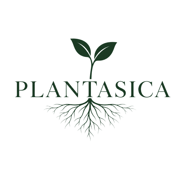Plantasica — vivero agroecológico