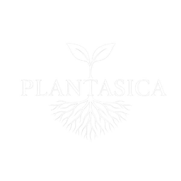 Plantasica — vivero agroecológico